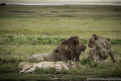 Tanzania_March2018-4110