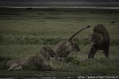 Tanzania_March2018-4125