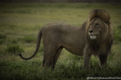 Tanzania_March2018-4199