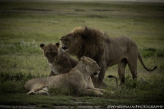 Tanzania_March2018-4207