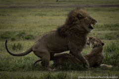 Tanzania_March2018-4228