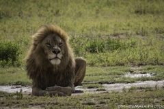 Tanzania_March2018-4344