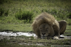 Tanzania_March2018-4347