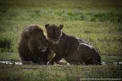Tanzania_March2018-4364