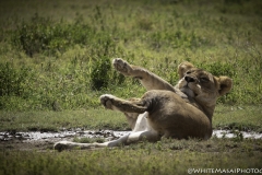 Tanzania_March2018-4395