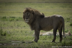 Tanzania_March2018-4405