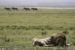 Tanzania_March2018-4417