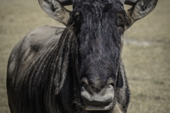Tanzania_March2018-4499