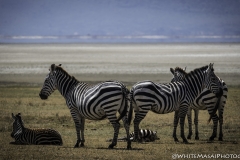 Tanzania_March2018-4501