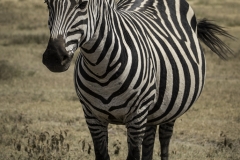 Tanzania_March2018-4545