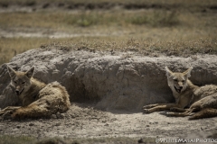 Tanzania_March2018-4593