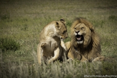 Tanzania_March2018-4610