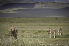 Tanzania_March2018-4628