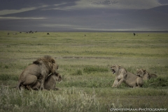 Tanzania_March2018-4655