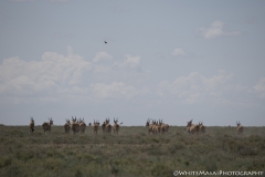 Tanzania_March2018-4693