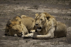 Tanzania_March2018-4695