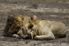 Tanzania_March2018-4700