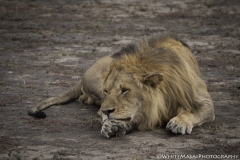 Tanzania_March2018-4726