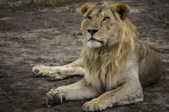 Tanzania_March2018-4732