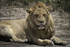 Tanzania_March2018-4753