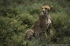 Tanzania_March2018-4823