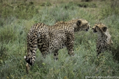 Tanzania_March2018-4839