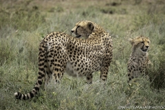 Tanzania_March2018-4848