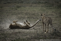 Tanzania_March2018-4885