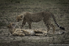 Tanzania_March2018-4898