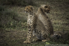 Tanzania_March2018-4959