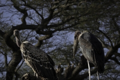 Tanzania_March2018-4970