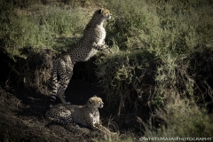 Tanzania_March2018-5072