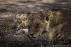 Tanzania_March2018-5190