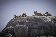 Tanzania_March2018-5292