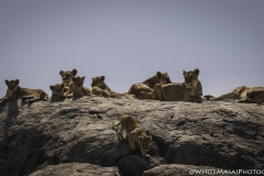 Tanzania_March2018-5342