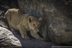 Tanzania_March2018-5347 - Copy