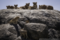 Tanzania_March2018-5406