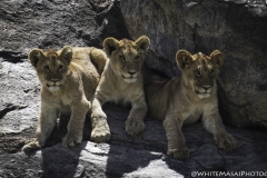 Tanzania_March2018-5510