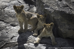 Tanzania_March2018-5606