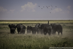 Tanzania_March2018-5814