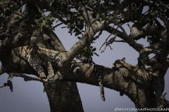 Tanzania_March2018-5982