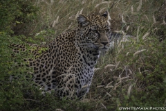 Tanzania_March2018-6179