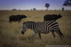 Tanzania_March2018-6224