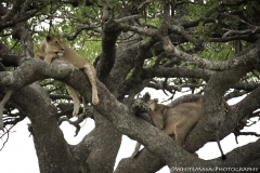 Tanzania_March2018-6305