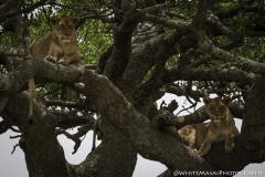 Tanzania_March2018-6380