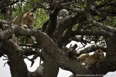Tanzania_March2018-6435