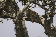 Tanzania_March2018-6537