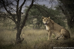 Tanzania_March2018-6573