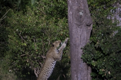 Tanzania_March2018-6685