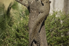 Tanzania_March2018-6695